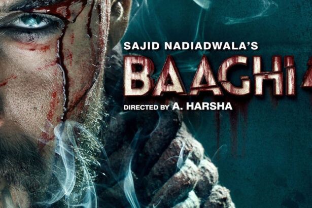 Baaghi 4 Day 2 Collection